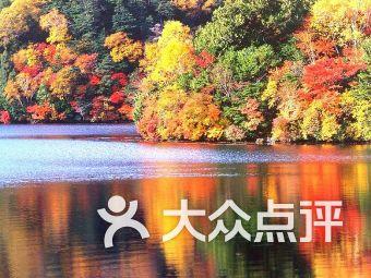 专业问答网站-速腾装什么导航好?最佳解答