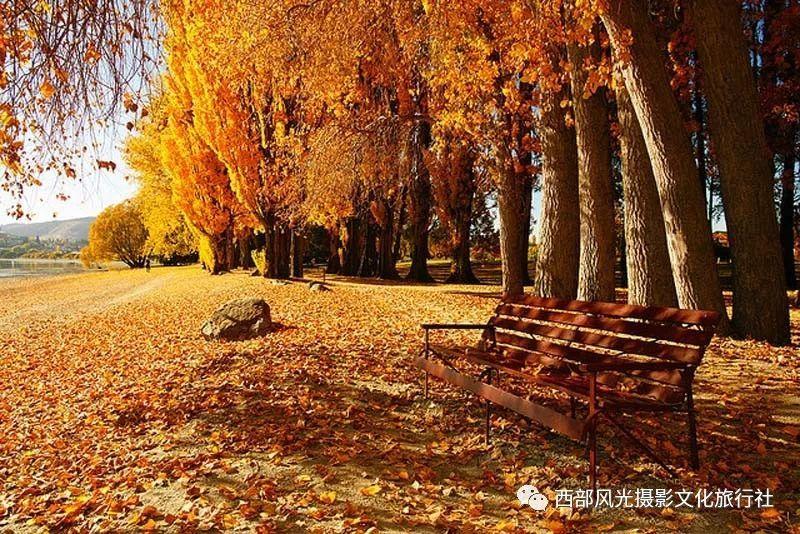 救援受困的狼人