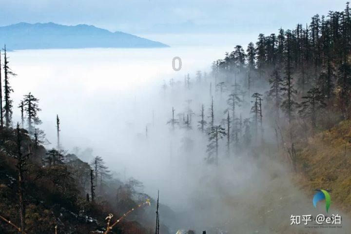 泰安市东平县:赶黄河大集 过欢乐大年