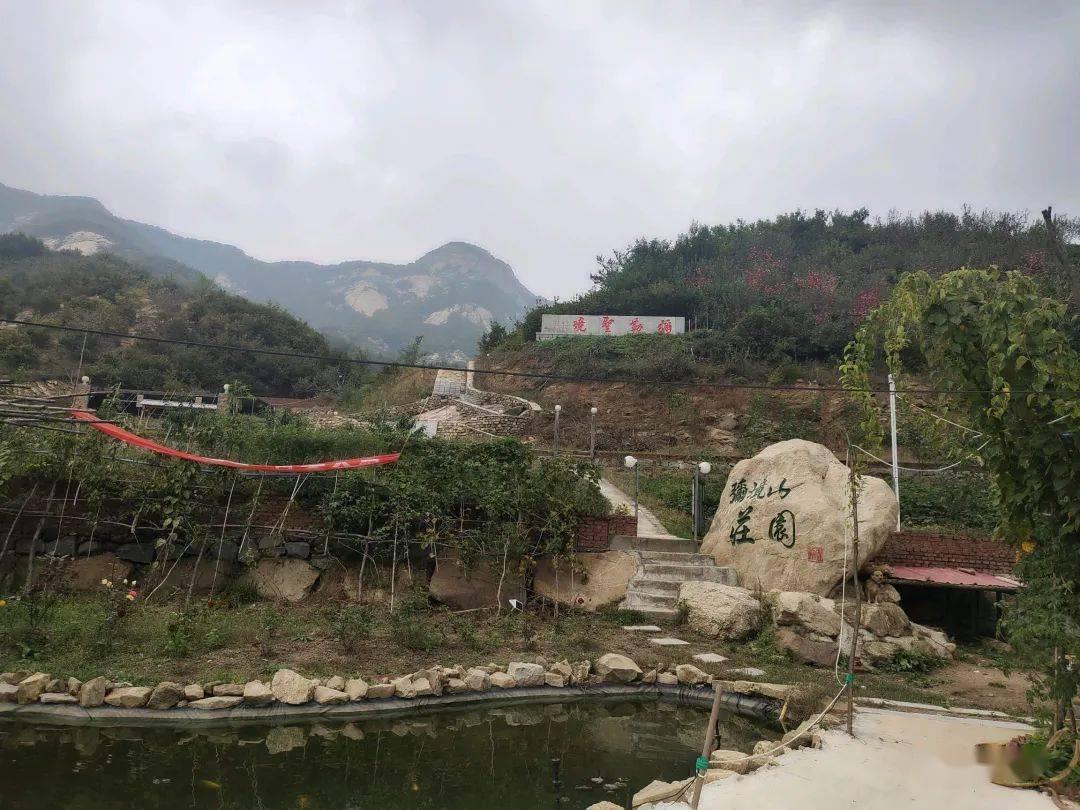 武斗纹章2初篇