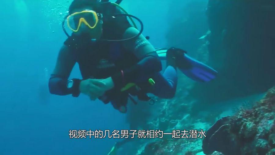 UDP与TCP的主要区别 UDP能否像TCP一样实现可靠传输?
