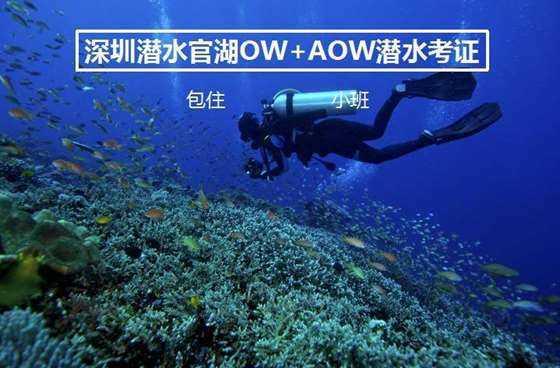 情侣之间身高差9cm标准么游戏画面