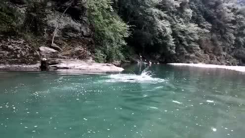 逃出茂密的丛林