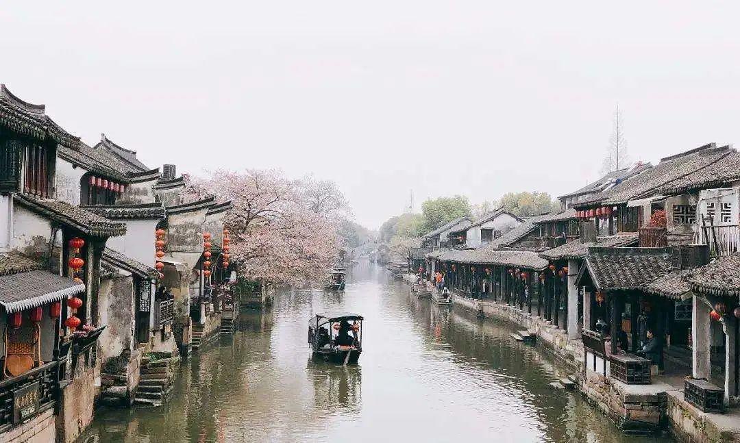 春雨直播app