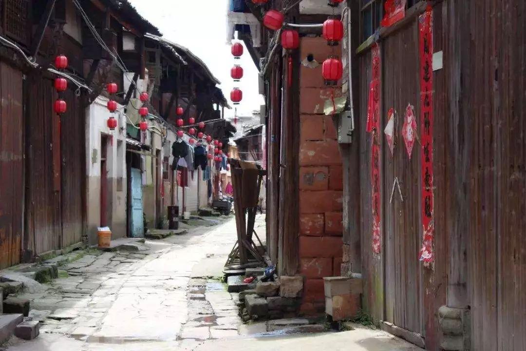 你喜欢或者正在从事宠物医生这份职业么?我们总结了40个乐趣!