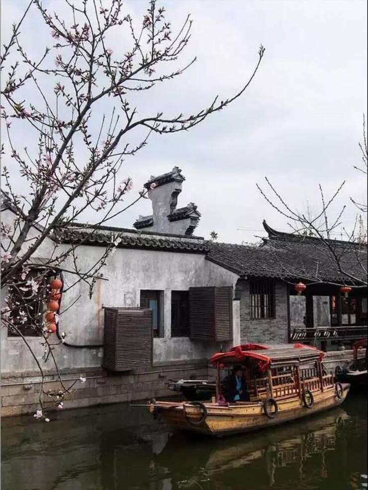 救援受困的鹭
