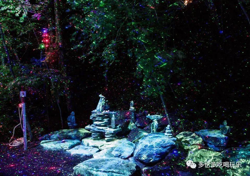 沪江开心词场